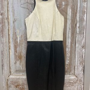 Mason snake print dress